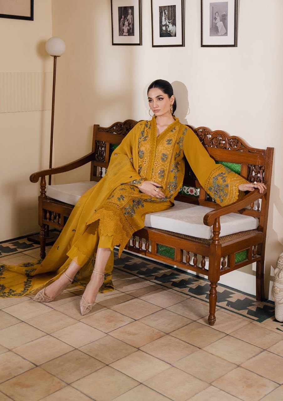 LUXURY CHICKEN KARI COLLECTION&nbsp;